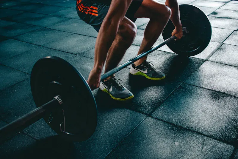 Fitness & Workout